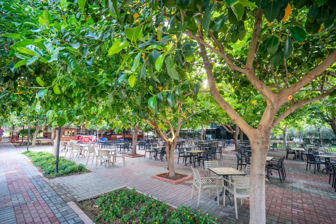 אלאניה Gardenia Beach Hotel מראה חיצוני תמונה